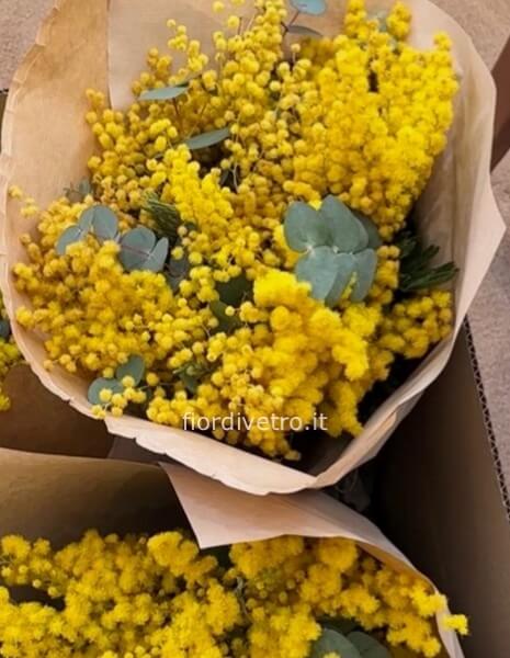 Bouquet di mimosa